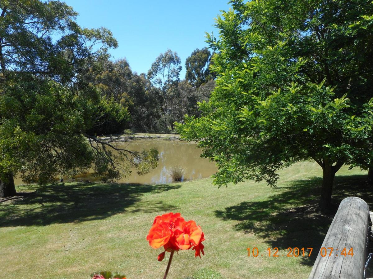 Wurrung B & B - The Cottage Woodend Exterior foto
